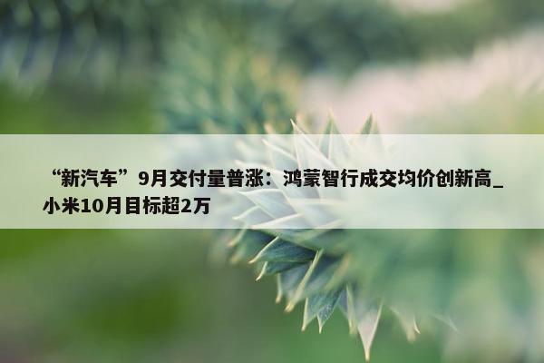 “新汽车”9月交付量普涨：鸿蒙智行成交均价创新高_小米10月目标超2万