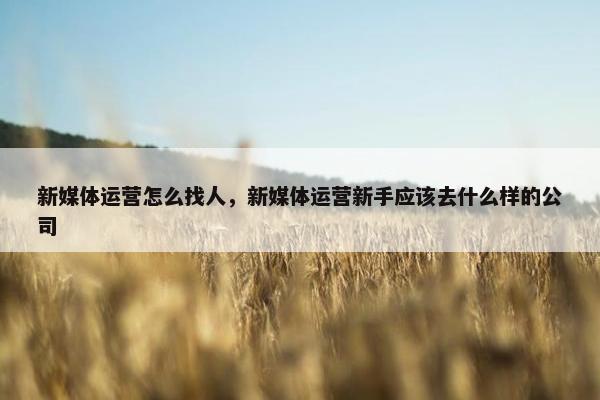 新媒体运营怎么找人，新媒体运营新手应该去什么样的公司