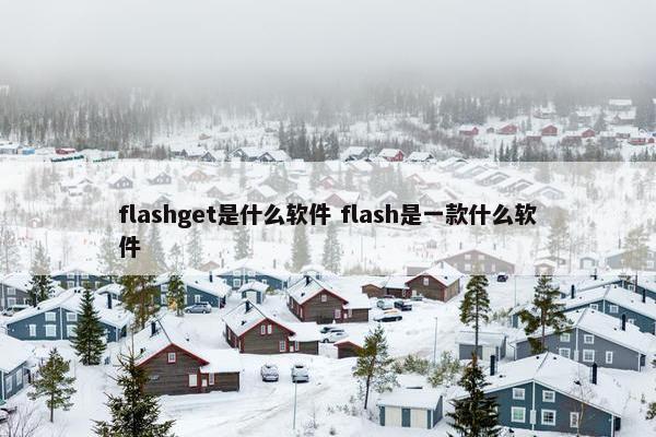 flashget是什么软件 flash是一款什么软件