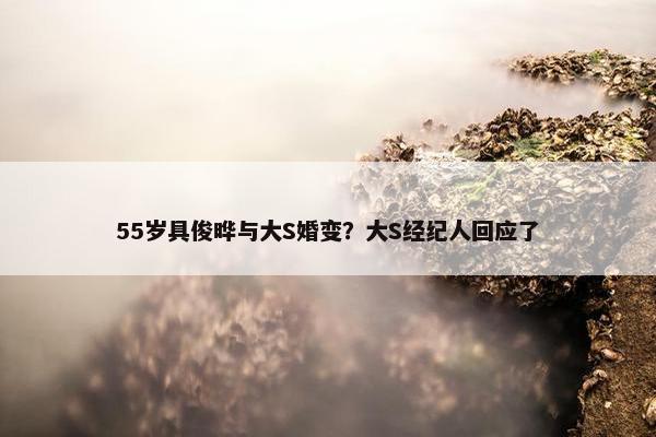 55岁具俊晔与大S婚变？大S经纪人回应了