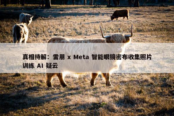 真相待解：雷朋 x Meta 智能眼镜密布收集照片训练 AI 疑云