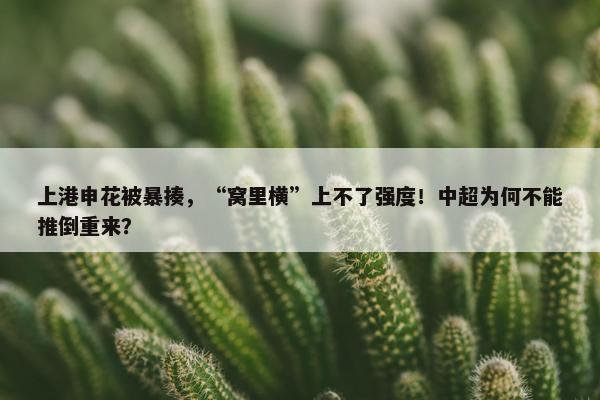 上港申花被暴揍，“窝里横”上不了强度！中超为何不能推倒重来？