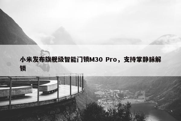 小米发布旗舰级智能门锁M30 Pro，支持掌静脉解锁