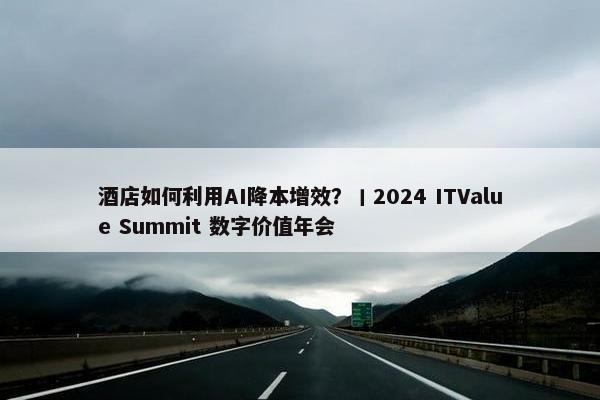 酒店如何利用AI降本增效？丨2024 ITValue Summit 数字价值年会