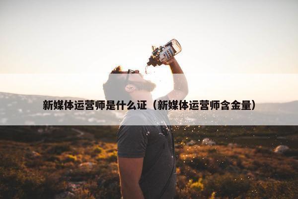 新媒体运营师是什么证（新媒体运营师含金量）