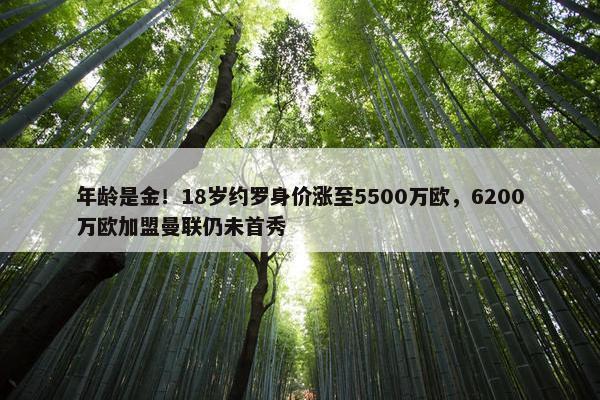 年龄是金！18岁约罗身价涨至5500万欧，6200万欧加盟曼联仍未首秀