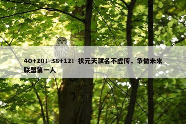 40+20！38+12！状元天赋名不虚传，争做未来联盟第一人