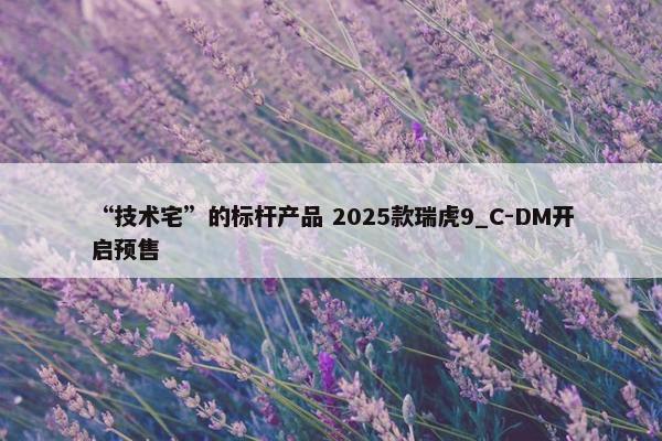 “技术宅”的标杆产品 2025款瑞虎9_C-DM开启预售