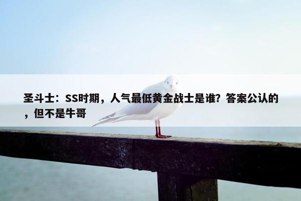 圣斗士：SS时期，人气最低黄金战士是谁？答案公认的，但不是牛哥