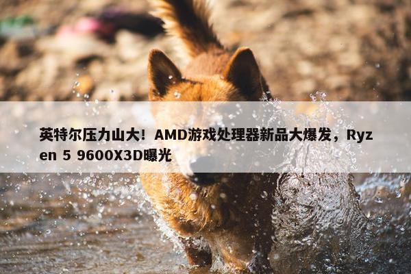 英特尔压力山大！AMD游戏处理器新品大爆发，Ryzen 5 9600X3D曝光