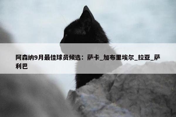 阿森纳9月最佳球员候选：萨卡_加布里埃尔_拉亚_萨利巴