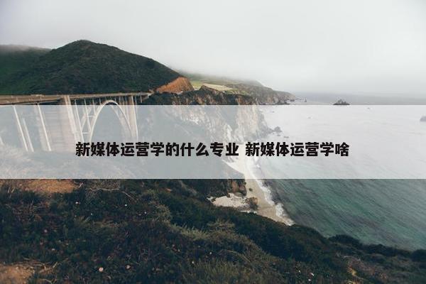 新媒体运营学的什么专业 新媒体运营学啥