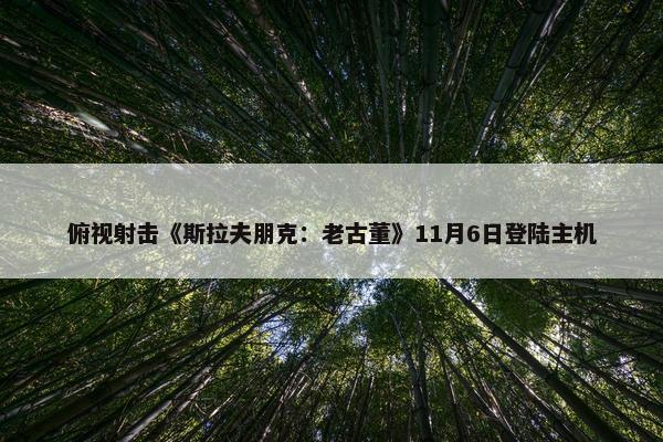 俯视射击《斯拉夫朋克：老古董》11月6日登陆主机