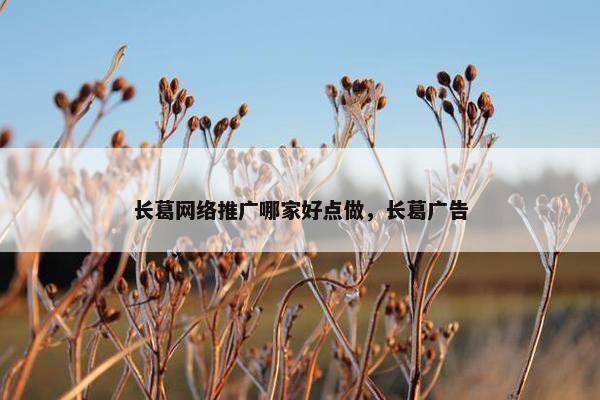 长葛网络推广哪家好点做，长葛广告