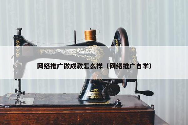 网络推广做成教怎么样（网络推广自学）