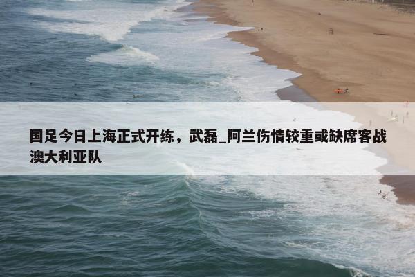 国足今日上海正式开练，武磊_阿兰伤情较重或缺席客战澳大利亚队