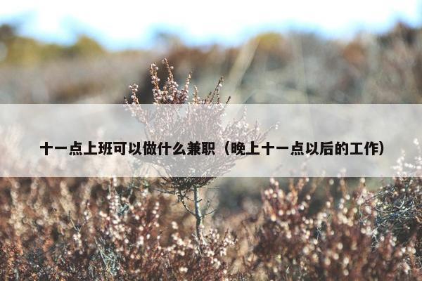 十一点上班可以做什么兼职（晚上十一点以后的工作）